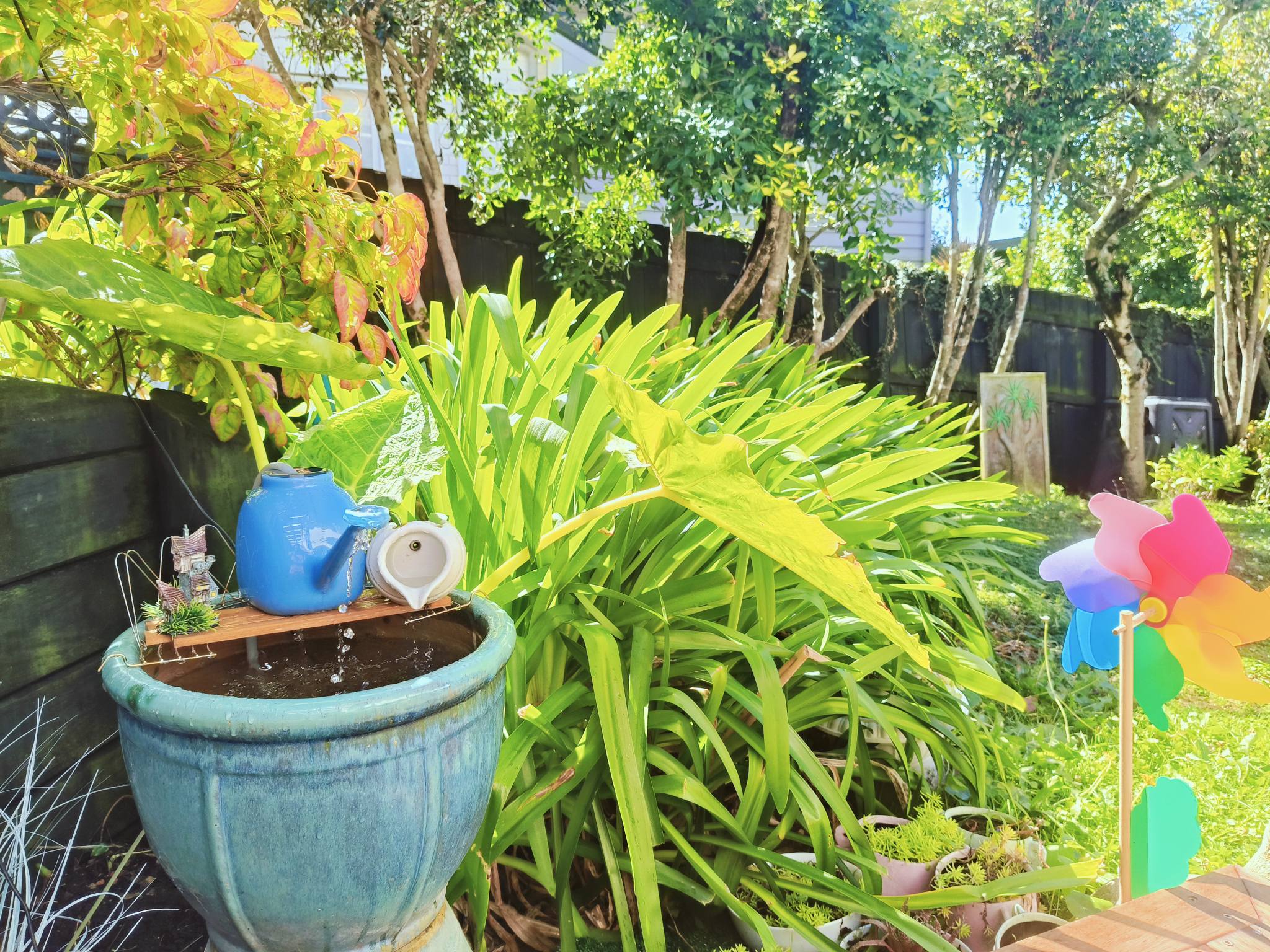 Colourful garden corner
